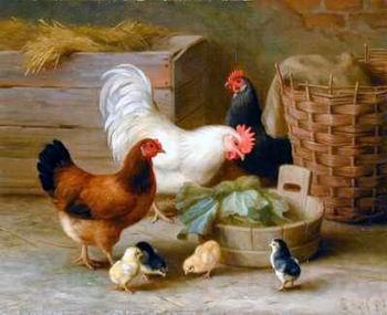 unknow artist Cocks 140 Germany oil painting art